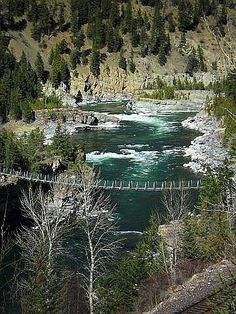 a river running through a forest filled with lots of green and white water surrounded by trees