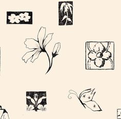 black and white drawing of flowers in square frames on a cream background with stars around them