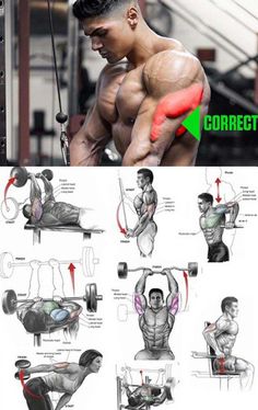 an image of a man doing exercises on the back and chest with muscles drawn up