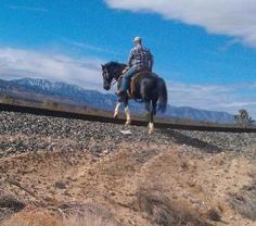 a man riding on the back of a black horse down a dirt road with mountains in the background