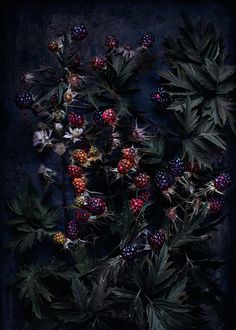 an arrangement of berries and leaves on a dark background