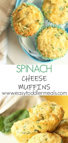 spinach cheese muffins on a plate with green beans in the background and text overlay that reads spinach cheese muffins