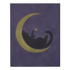 a black cat laying on top of a crescent moon with a star in the sky