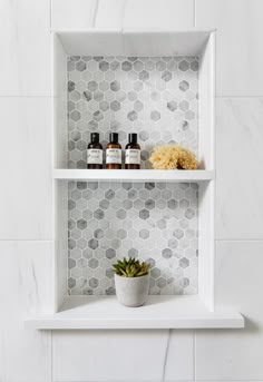 two white shelves with bottles and a succulent on them