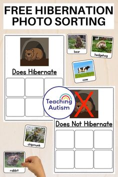 a poster with pictures and words to describe the different types of animals in their habitat