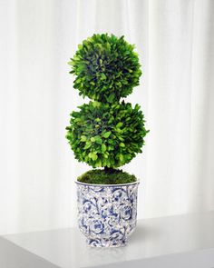 a potted plant is sitting on a table