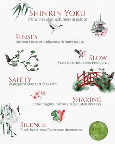 Forest Bathing – What, How, Where? A beginner’s guide | Healing Forest Japanese Forest Bathing, Eco Therapy, Butterfly Spirit Animal, Nature Mindfulness, Forest Architecture, Forest Therapy, Japanese Practice, Shinrin Yoku, Nature School