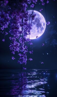 the full moon is reflected in the water and purple flowers are growing on it's branches