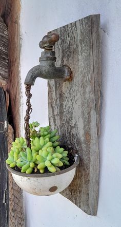 an old faucet with succulents in it hanging on a wall