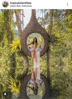 a woman standing on top of a tree in the middle of a lush green forest