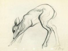 a pencil drawing of a deer jumping in the air with it's head down