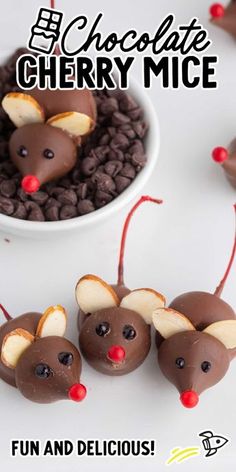 chocolate cherry mice in a bowl with text overlay