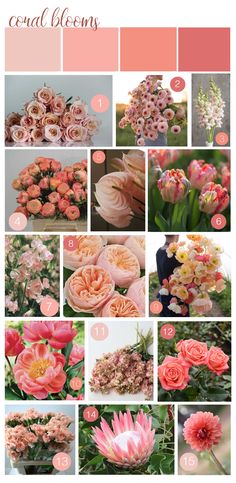 a bunch of flowers that are in the middle of a collage with different colors