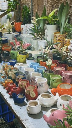 a table topped with lots of ceramic pots and plants