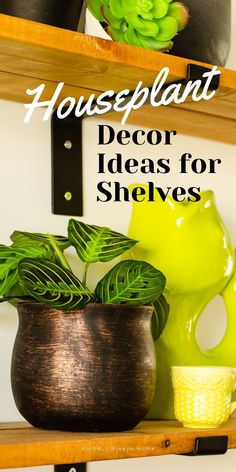 some green plants are sitting in a pot on a shelf with the words, houseplant decor ideas for shelves