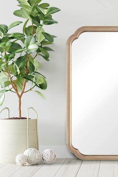 a potted plant next to a mirror on the floor