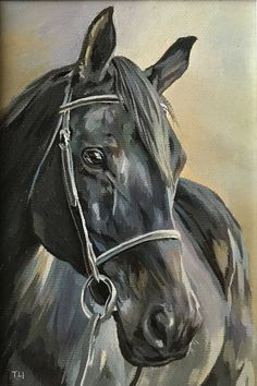 a painting of a black horse wearing a bridle