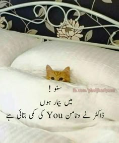 an orange cat peeking out from under the covers of a bed with arabic writing on it