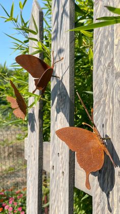 two brown butterflies sitting on top of a wooden fence