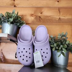 Crocs Nwt Classic Clog Lavender Purple Lilac Shoes Water 10001-530 Sz M-10 W-12 Offers Are Always Considered. Bundle For Big Discounts. Please Do Not Hesitate To Ask If You Have Any Questions! Waterproof Closed Toe Clogs For Spring, Casual Purple Clogs For Summer, Spring Purple Synthetic Clogs, Waterproof Round Toe Clogs For Spring, Casual Purple Clogs For Spring, Purple Slip-on Clogs For Summer, Purple Synthetic Clogs, Purple Non-slip Synthetic Clogs, Purple Closed Toe Clogs For Summer