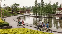 people are riding bikes near the water in a park with green bushes and trees on either side