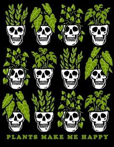 there are many skulls with plants in their heads