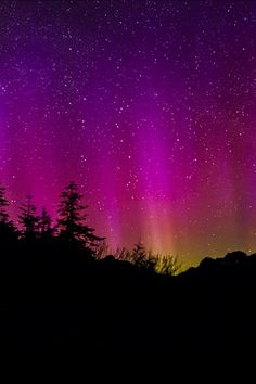 purple and green aurora lights in the night sky above pine trees on a mountain side