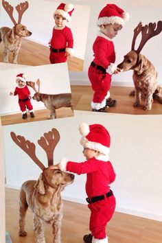 an image of a dog dressed up as santa clause and reindeer with antlers on his head