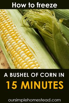 corn on the cob with text overlay that reads how to freeze a bushel of corn in 15 minutes