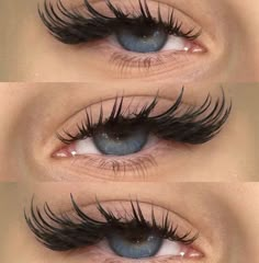 if you want that wet, sultry lash look AT HOME and on a budget 🎀 click link 🎀 Flared Eyelash Extensions, Mascara On Lashes, Mascara Effect Lash Extensions, Wet Eyelash Look, Wet Mascara Lash Extensions Look, Wet Mascara Lash Extensions, Lash Extensions Wet Look, Wet Lashes Look Extensions, Pretty Lash Extensions