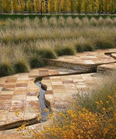 an empty park with lots of grass and flowers on the ground next to a small pond