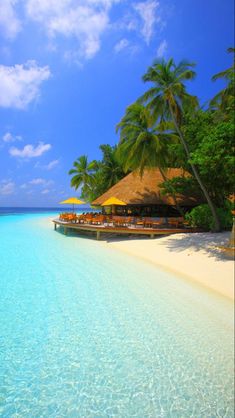 the water is crystal blue and there are palm trees on the beach in front of it