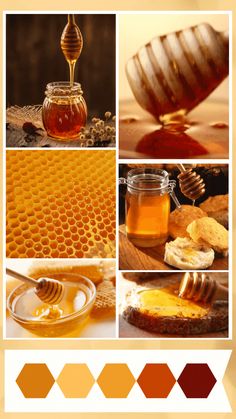 A moodboard and a colour scheme of honey. Honey Colour Palette, Honey Color Aesthetic, Honey Branding Design, Honey Color Palette, Honey Moodboard, Beehive Pictures, Bee Cafe, Honey Branding, Bee Aesthetic