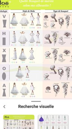 an info sheet showing different types of dresses