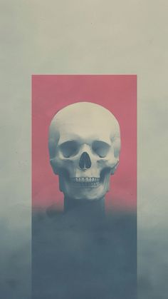 a white skull sitting in front of a red and blue background with the word's name on it