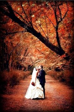 a bride and groom kissing in the middle of a path surrounded by trees with orange leaves