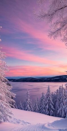 the sun is setting over a snowy landscape with trees in the foreground and water in the background