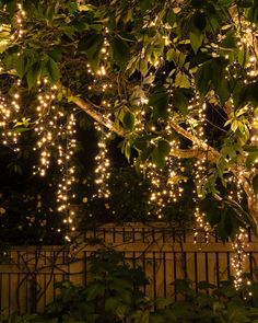 The combination of lights, decorations, and the wooden furniture creates an inviting atmosphere filled with warmth and holiday cheer. Outdoor Tree Lighting, Outdoor Trees, Christmas String Lights, Outdoor Christmas Lights, Tree Lighting, Twinkle Lights, Decoration Christmas, Wedding Lights, Backyard Wedding