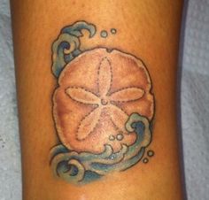 a sand dollar tattoo on the leg