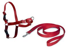 a red dog leash and collar on a white background