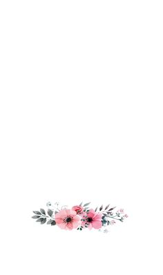 pink flowers and green leaves on a white background