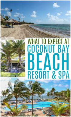 what to expect at coconut bay beach resort & spa