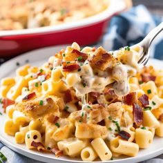 a white plate topped with macaroni and cheese