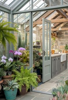 a greenhouse with lots of potted plants and flowers on the outside wall, in front of an outdoor kitchen