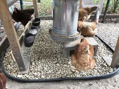 several chickens are eating from feeders in a graveled area next to a fence