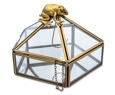 a glass box with a gold frog on it's top and chains hanging from the bottom