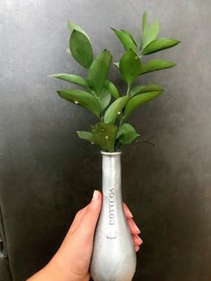 a hand holding a silver vase with green plants in it and the word love written on its side