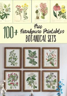 an image of botanical prints on the wall with text overlay that reads, free printable botanical sets