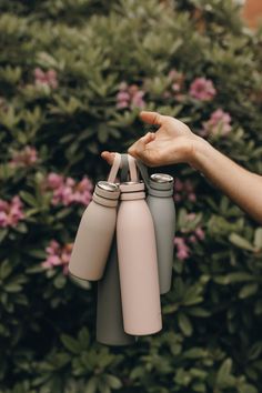 a person holding three water bottles in front of some bushes and pink flowered plants