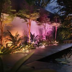 an outdoor garden with trees and plants lit up by pink lighting from the lights in the bushes